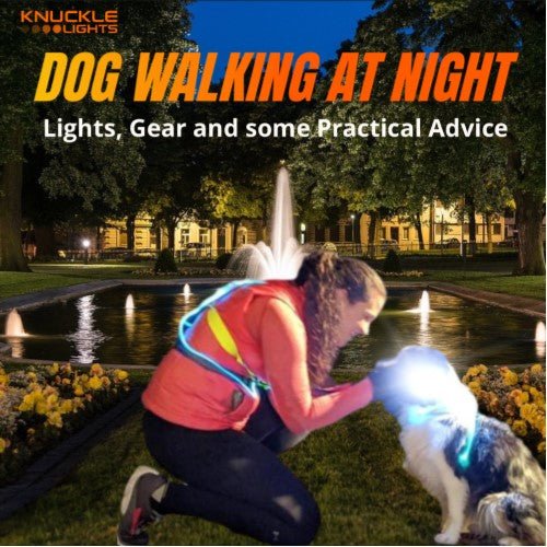 Pasear perros de noche: luces, equipo y algunos consejos prácticos