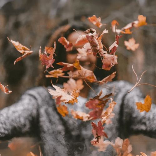 Abrazando el otoño: 10 razones por las que no nos cansamos del otoño 🍁