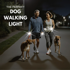 The perfect dog walking light