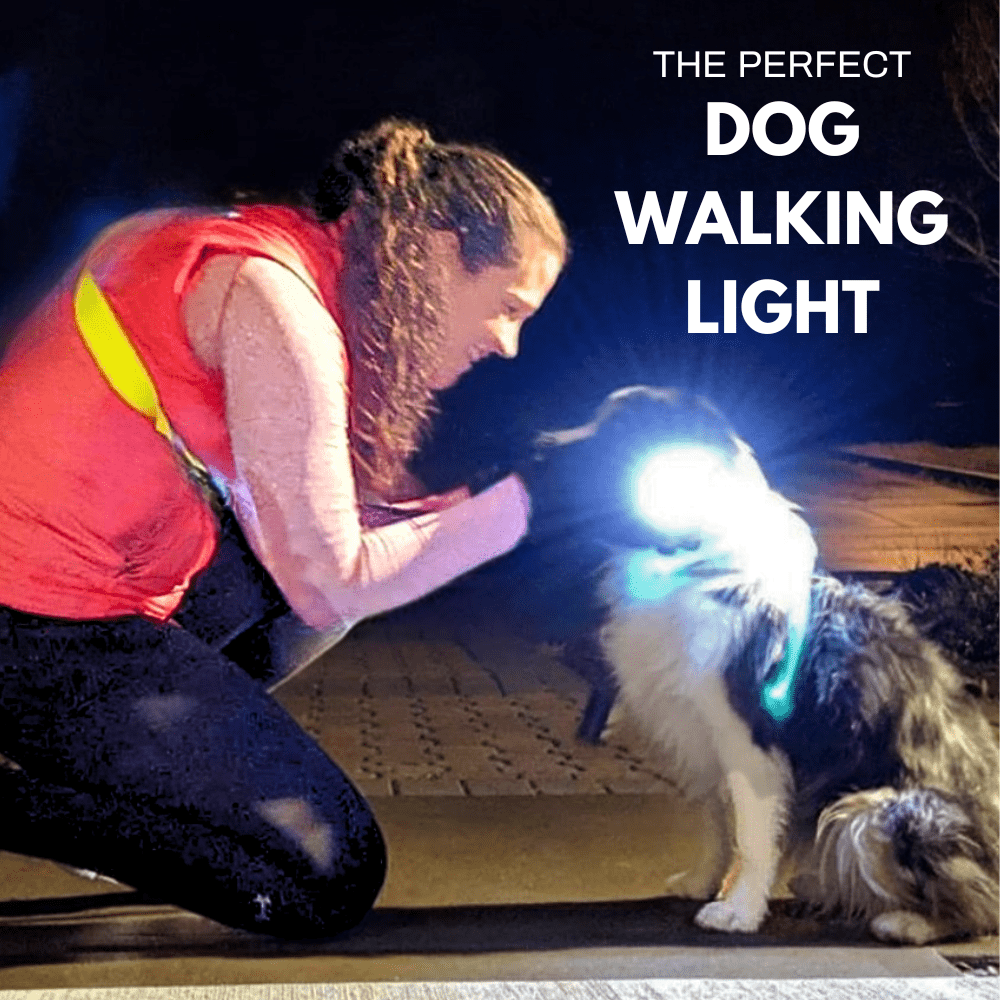 OPEN BOX: Knuckle Lights COLORS - Knuckle Lights